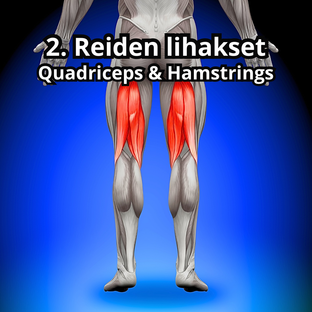 What Muscles Does Jump Rope Train? – A Full-Body Workout Guide
