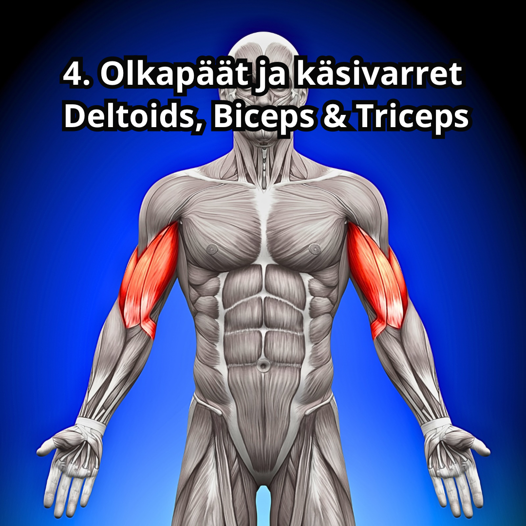 What Muscles Does Jump Rope Train? – A Full-Body Workout Guide